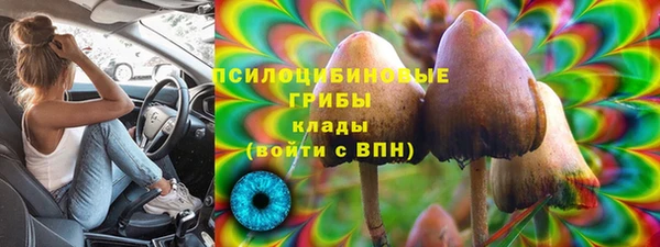 дмт Верея